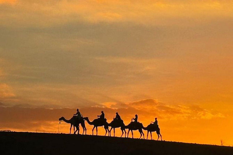 Marrakech: Agafay Desert Quad & Camel Rides with Dinner Show