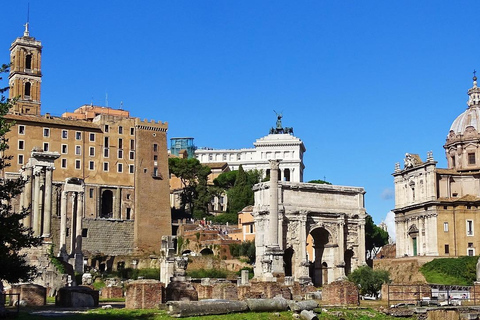 Rom: Guidad tur Guidad tur till Colosseum, Forum Romanum och PalatinkullenColosseum, Forum Romanum &amp; Palatinkullen Franska guidade besök