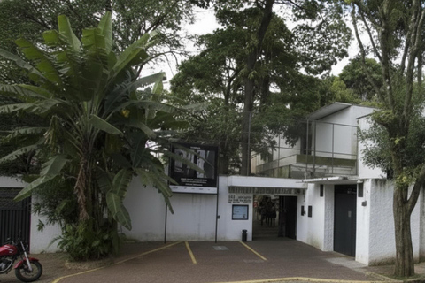 Lasar Segall Highlight Sao Paulo Private Guided Walking Tour 2-hour: Lasar Segall Tour