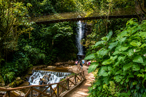 From Oxapampa: Pozuzo Waterfalls, Park, & Beer Day Trip
