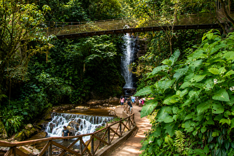 From Oxapampa: Pozuzo Waterfalls, Park, & Beer Day Trip