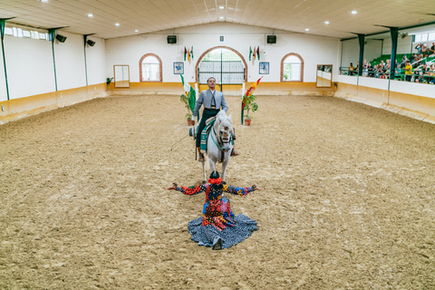 Malaga: Horse Show with Dinner, Drinks & Live Flamenco Show Only horse show with a bit of flamenco dancing