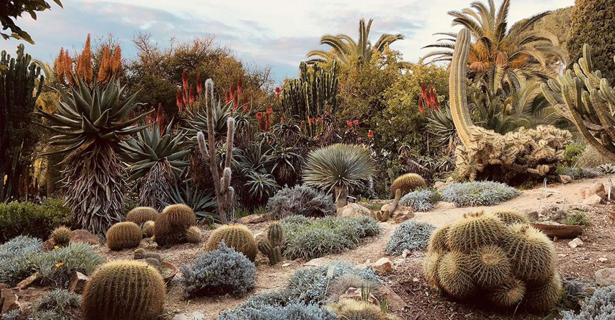 Blanes, biglietto d'ingresso del giardino botanico Marimurtra - Housity