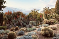 Blanes, Marimurtra Botanical Garden Entry Ticket - Housity