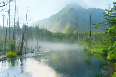 名古屋発：上高地と魅惑の風景 日帰りツアー