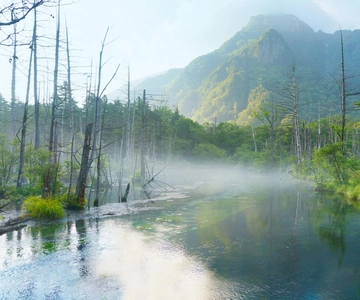From Nagoya: Kamikochi and Enchanting Landscapes Day Tour