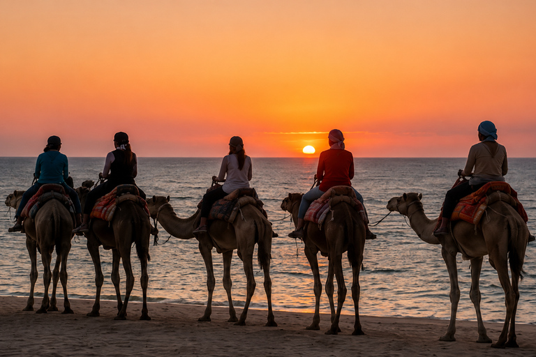 Dakhla: Sunset Camel Ride with Mint Tea and Photos