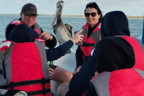 Tour des flamants roses Rio Lagartos, Yucatan 2 heures