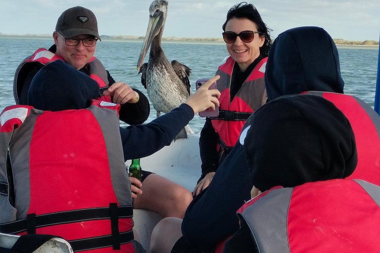 Tour des flamants roses Rio Lagartos, Yucatan 2 heures