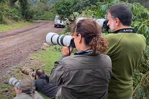 Addis Ababa: 6-Day Bale Mountains Guided Tour with Meals