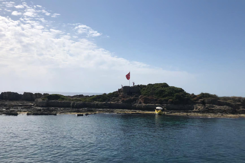 Side: Dolphin Island Boat Trip with Lunch and Swim Stops Dolphin Island Boat Trip with Meeting Point