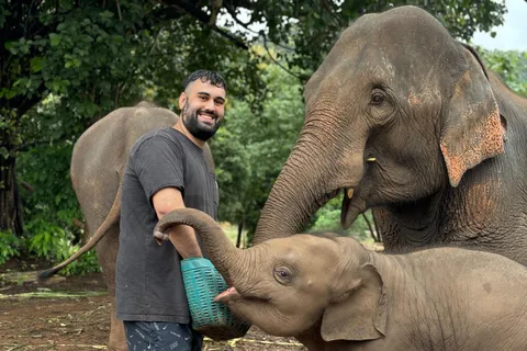 Chiang Mai: Excursión a Doi Inthanon y Santuario de Elefantes