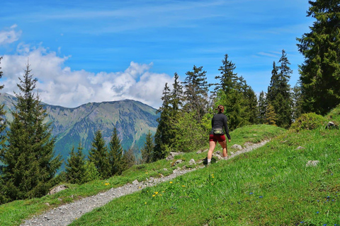 Interlaken: Scenic Walk and Raclette by the Mountain Lake