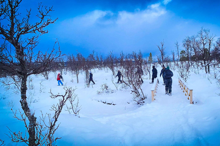 Tromsø: Aurora Crystal Lavvo Overnachting met Activiteiten