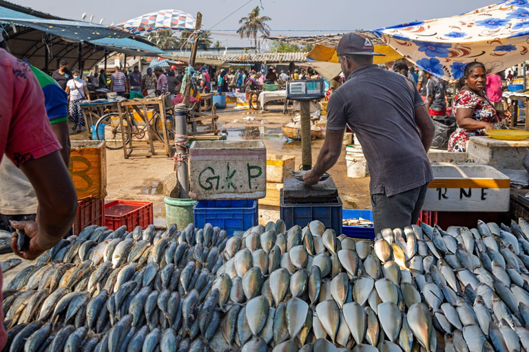 Colombo to: Negombo Beach, Lagoon & Hamilton Canal Tour