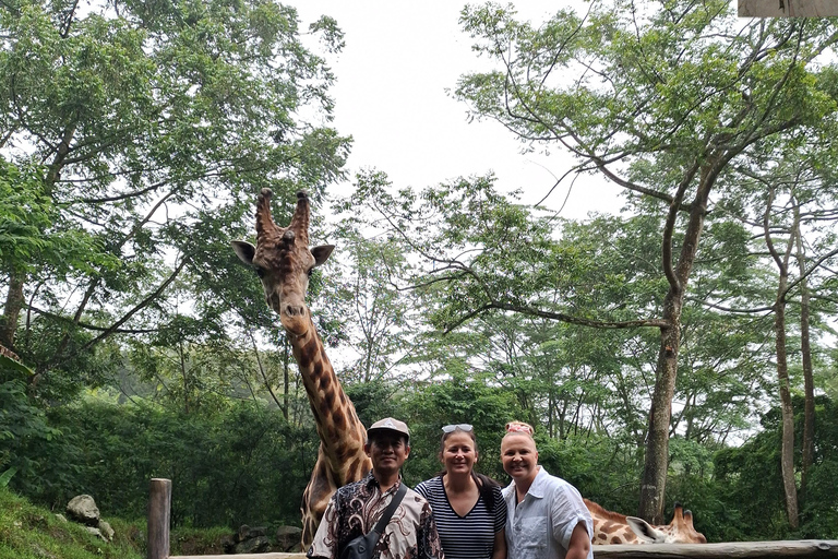 Taman Safari and Tea Plantation Tour at Puncak