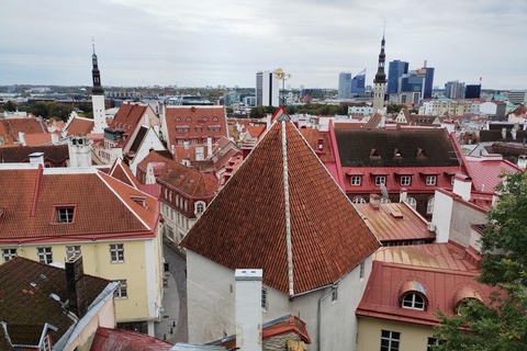 Individual excursion in Tallinn