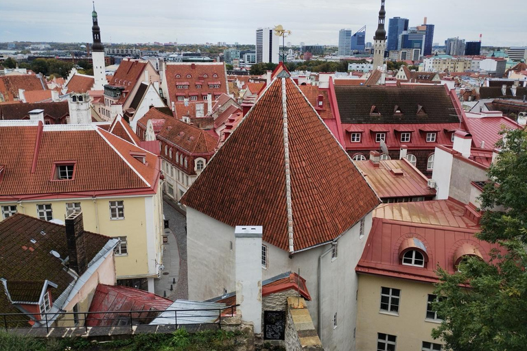 Individual excursion in Tallinn