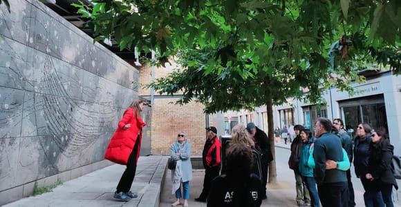 Homes of Dublin, Hidden History