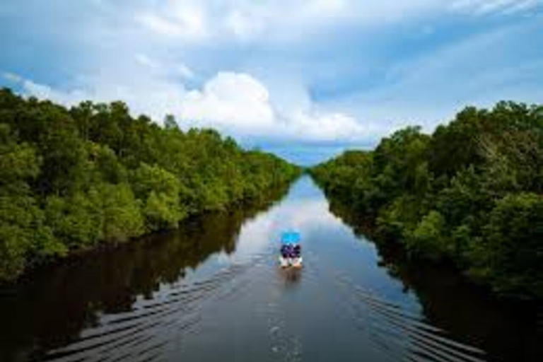 Sabah: Kawa Kawa Private River Cruise w/ Monkeys & Fireflies