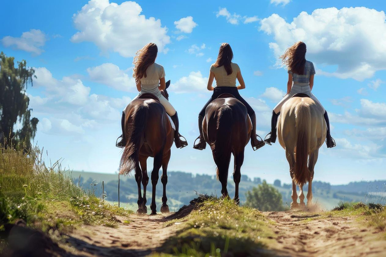 Tbilissi : Circuit de 2 jours dans les monts Kazbegi avec randonnée à cheval