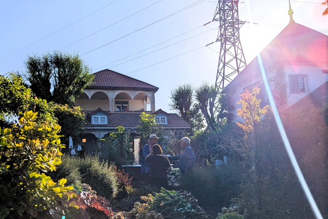 Tbilisi: Hidden Garden Photoshoot with Optional Lunch