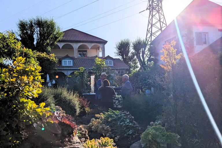Tbilisi: Hidden Garden Photoshoot with Optional Lunch