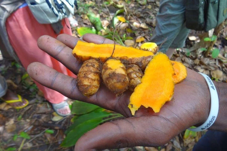 Zanzibar: Prison Island, Stone Town, & Spice Farm Tour