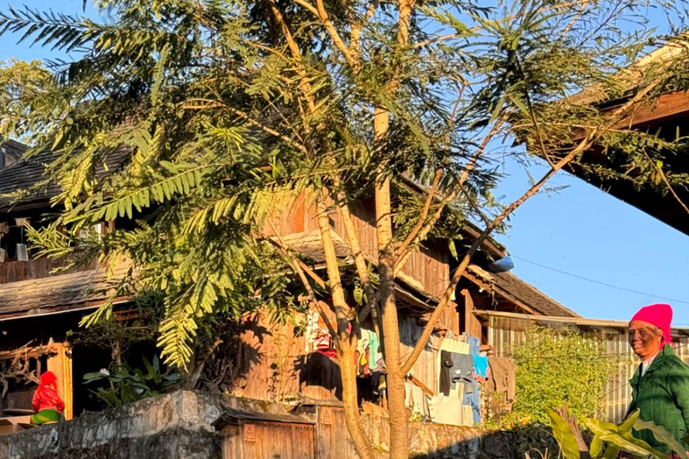 جبل جينغماي (اليونسكو) | غابات الشاي القديمة وقرى دايجبل جينغماي (اليونسكو): غابات الشاي القديمة وقر