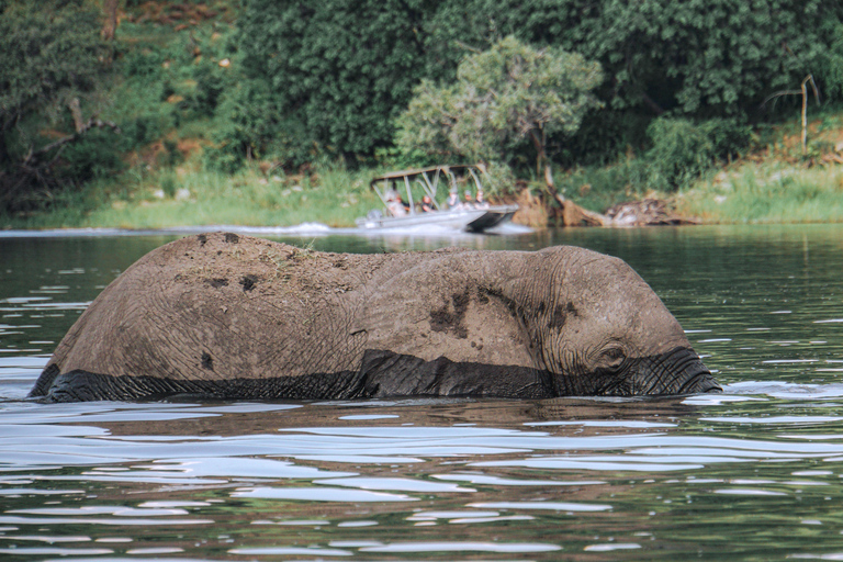 8-Day Zambia and Zimbabwe Safari Tour with Transfers