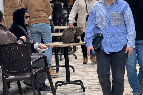 تونس: جولة سيرًا على الأقدام في وسط المدينة