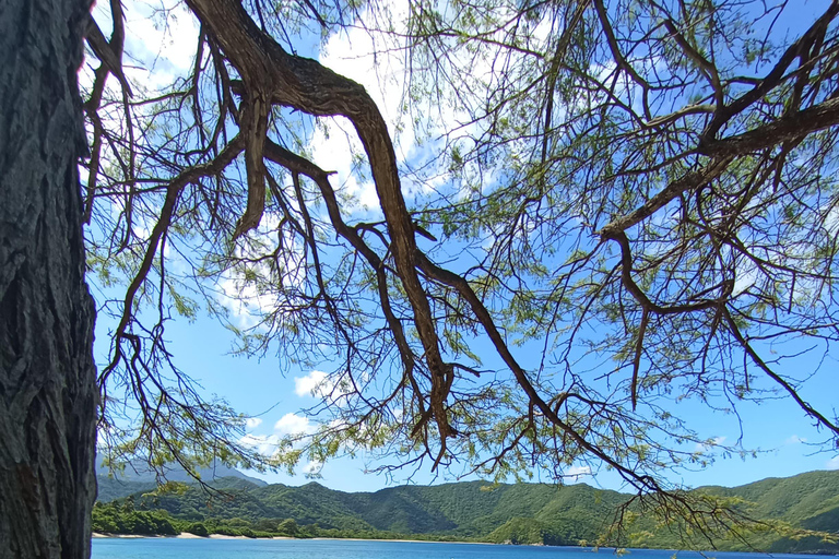 PASSEIO EM LANCHA RÁPIDA ATÉ A TAYRONA PLAYA CRISTAL