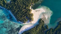 Full Day Private Catamaran Adventure in Ile Aux Cerfs - Housity