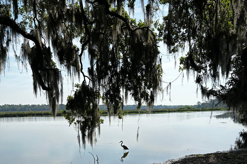 Charleston: Wycieczka z przewodnikiem po Middleton Place z lunchem