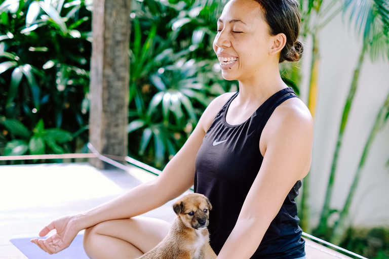 Yoga para cachorros felices en Canggu