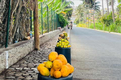 Poznaj największą plantację bananów na Cabo Verde