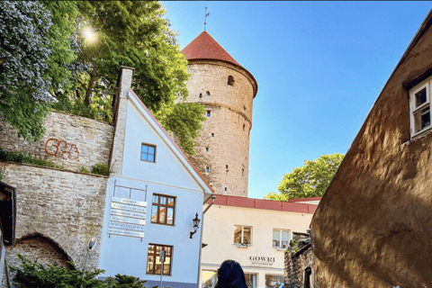 Helsinki to Tallinn Guided Tour with Cruise Ticket & Pickup