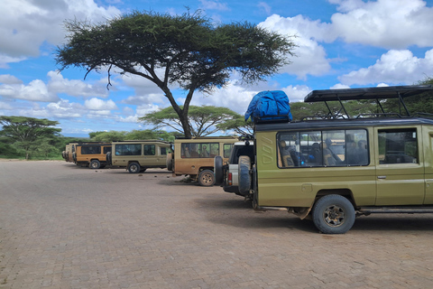 Kenya : Safari de 6 jours au Masai Mara, au lac Nakuru et à Amboseli