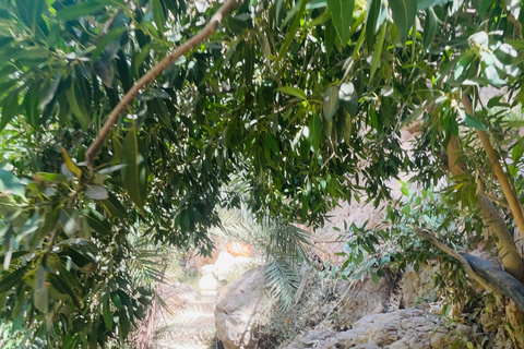 Muscat: Wadi Shab dagvullende tour met ophaalservice vanaf je hotel