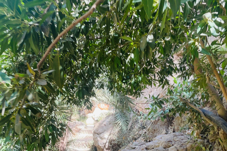 Muscat: Ganztagestour durch das Wadi Shab mit Abholung vom Hotel