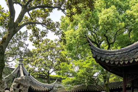 Suzhou: Lion Forest Garden Ticket & Wukong/TV Guide
