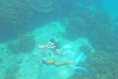 Coron: Observación de dugongos con visita a las tortugas marinas y al Jardín de Coral