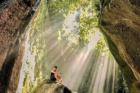 Ubud privato: Cascate, tempio dell&#039;acqua, terrazza di risoTour di un giorno (10-12 ore di tour), escluse le tariffe dei biglietti d&#039;ingresso