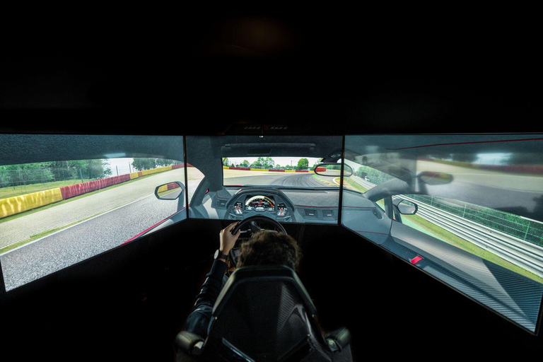 Entry to the Lamborghini Museum and Professional Simulator