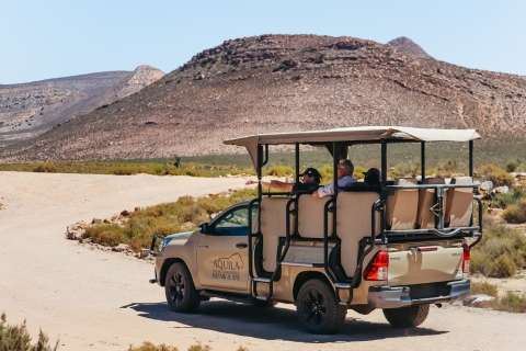 De Ciudad del Cabo: viaje de ida y vuelta a Aquila y safari