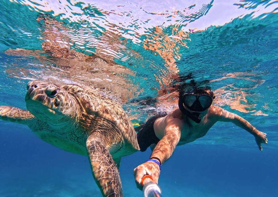 Tahiti: Journée excursion plongée et snorkeling avec repas tahitien typique