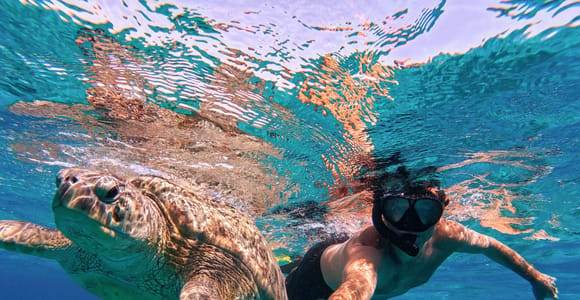 Tahiti: Organic Snorkeling, Turtles, and Traditional Lunch.