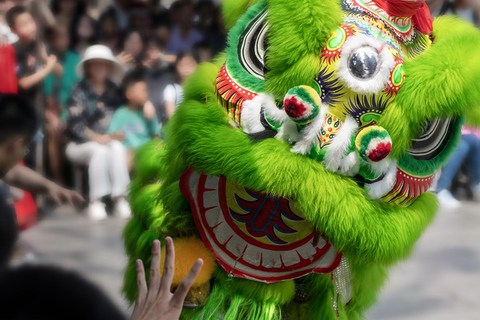 Guangzhou: Foshan Kung Fu Tour with Lion Dance Show
