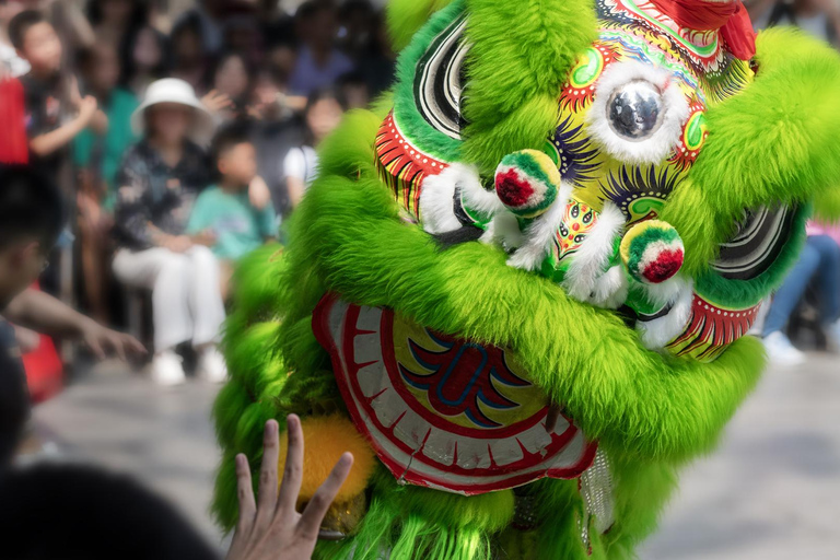 Guangzhou: Foshan Kung Fu Tour with Lion Dance Show