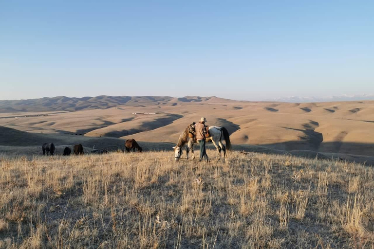 Réserve naturelle de Vashlovani : Randonnée à cheval